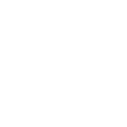Burton